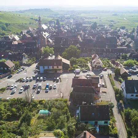 Muscat - Bel Renove Recemment - Au Pied Du Vignoble - Parking Gratuit * Riquewihr