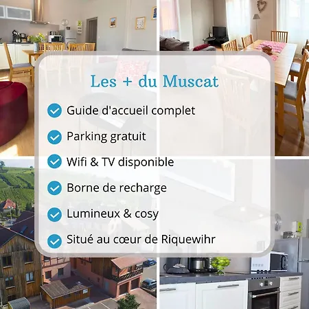 アパート Muscat - Bel Renove Recemment - Au Pied Du Vignoble - Parking Gratuit *