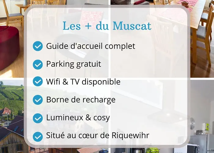 아파트 Muscat - Bel Renove Recemment - Au Pied Du Vignoble - Parking Gratuit *